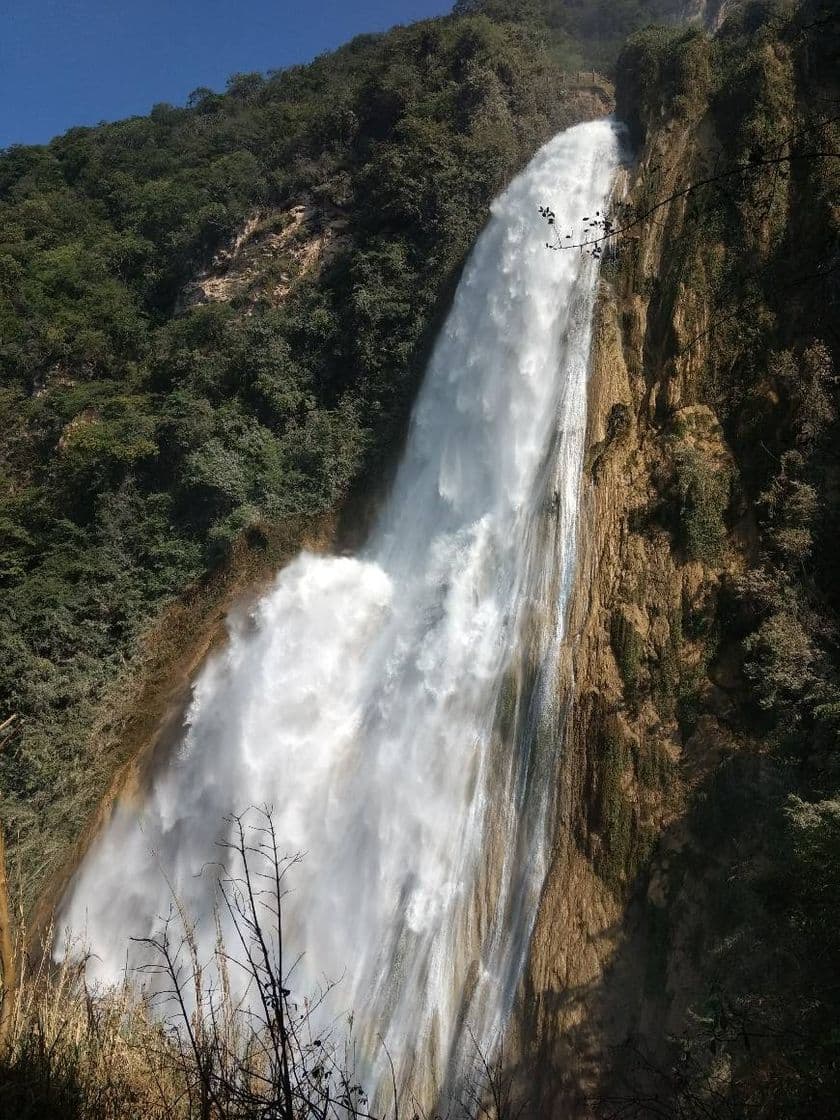 Lugar Centro Ecoturistico "Cascadas el Chiflon" CHIAPAS