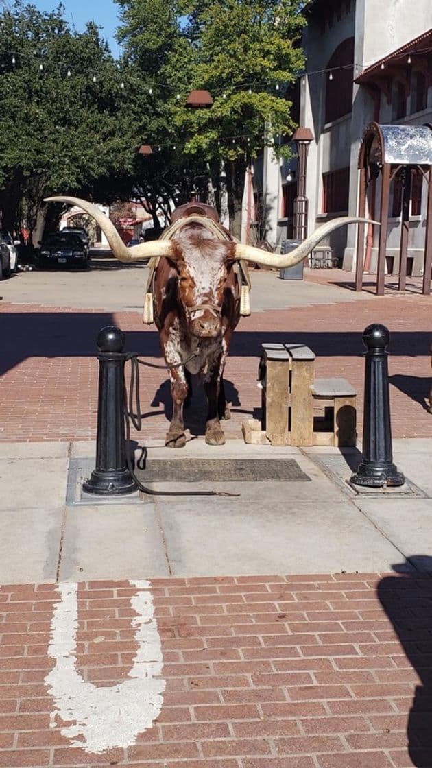 Place Fort Worth Stockyards