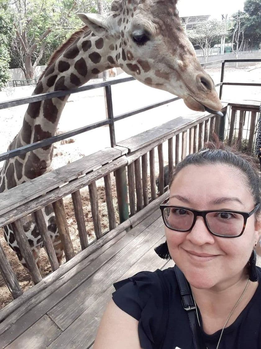 Place Zoológico de Culiacán