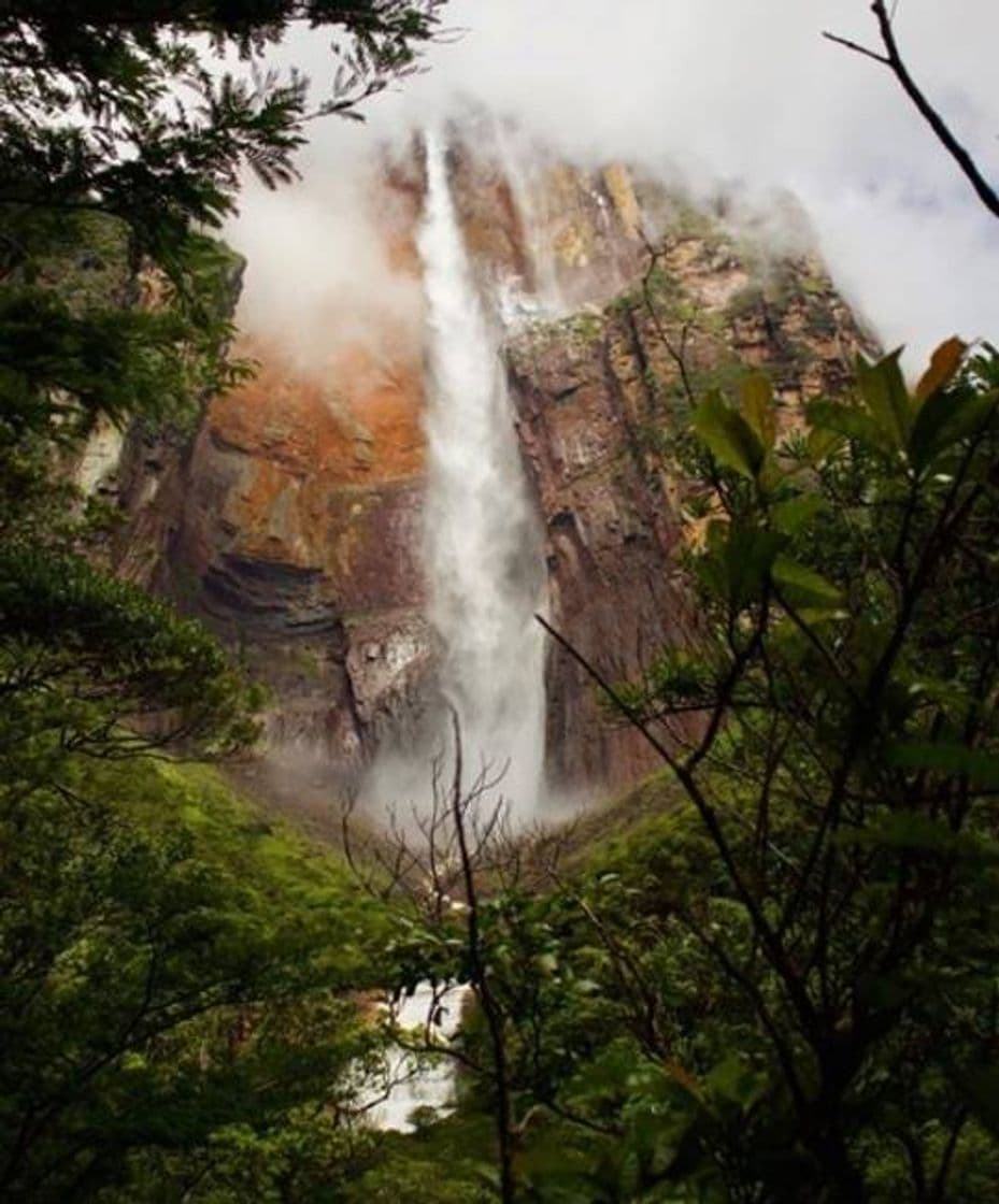 Moda Salto Angel🏞😍