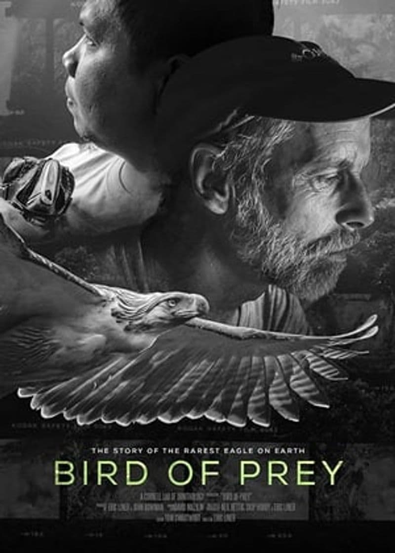 Movie Bird of Prey