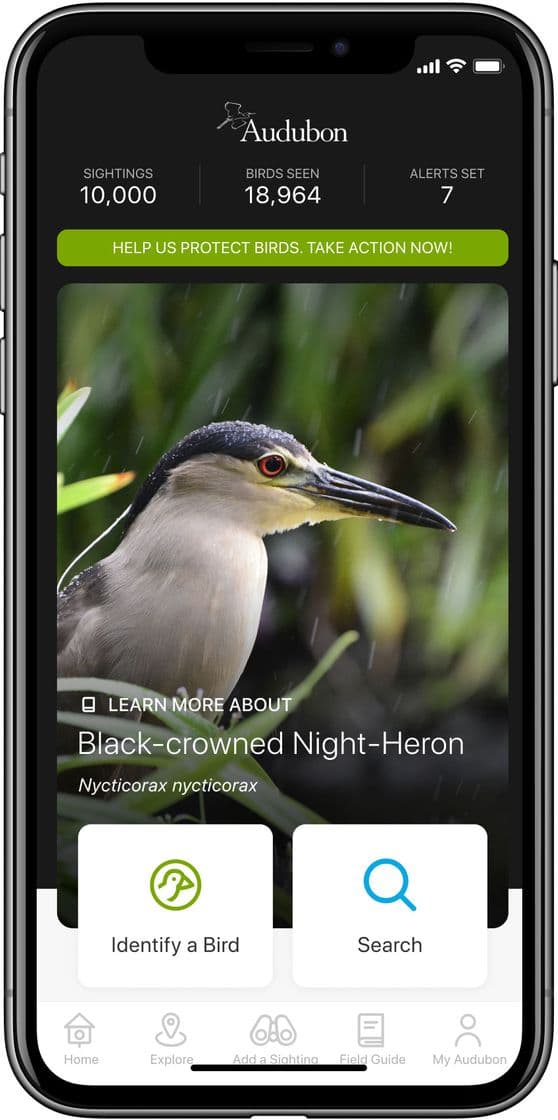 App Audubon Bird Guide