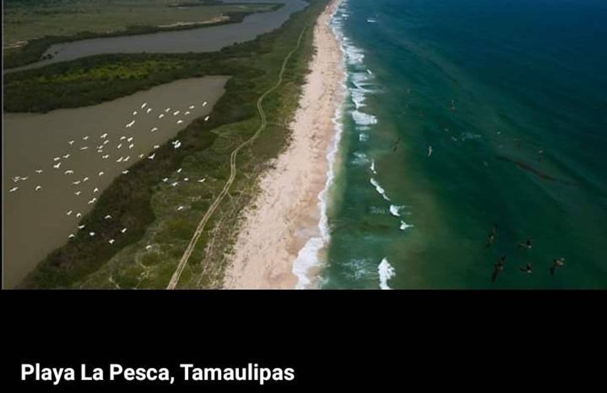 Lugar La Pesca, Tamaulipas