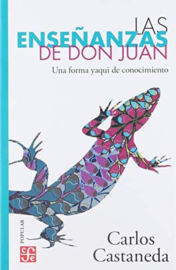 Book Enseñanzas de Don Juan bolsillo