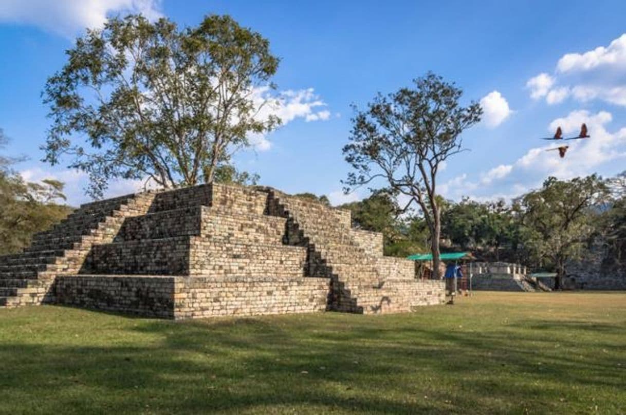 Place Ruinas de Copán