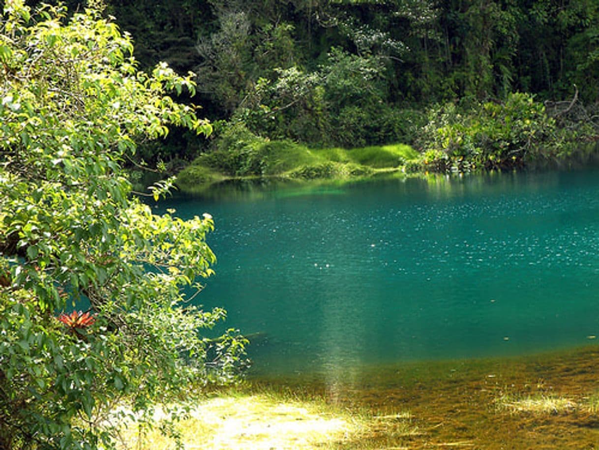 Place Parque Nacional Juan Castro Blanco