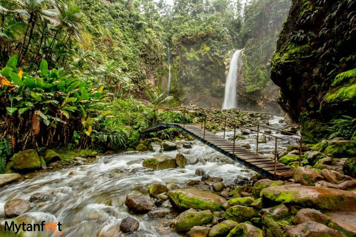 Place Catarata Río Agrio