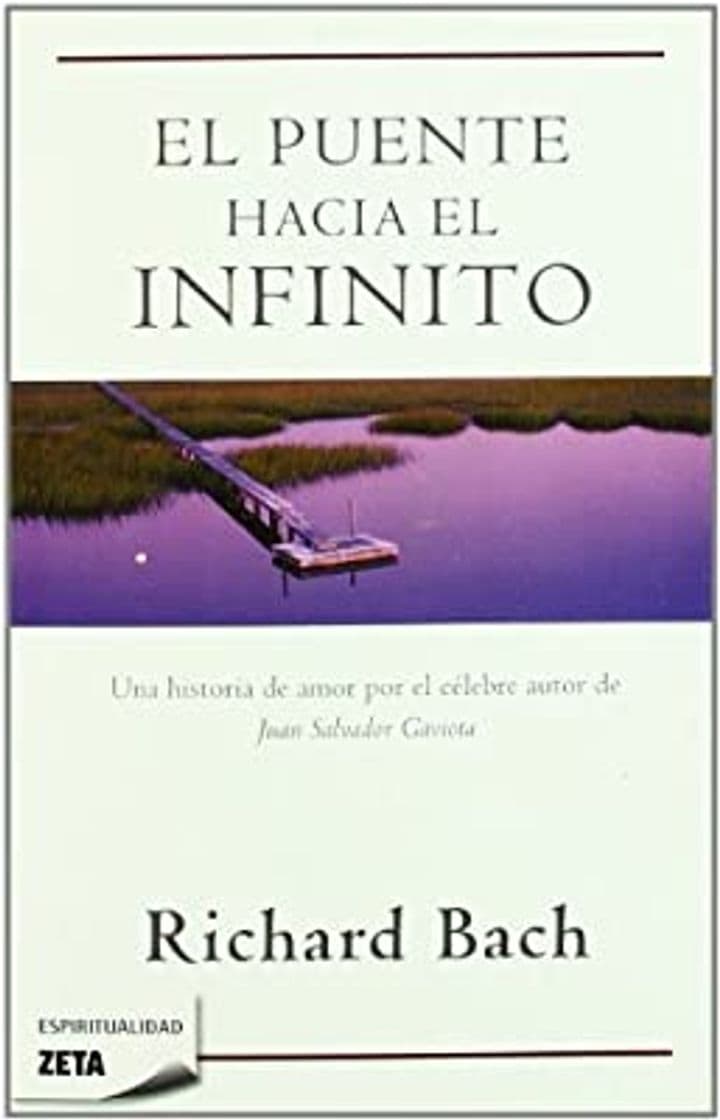 Book El puente hacia el infinito: Una singular historia de amor