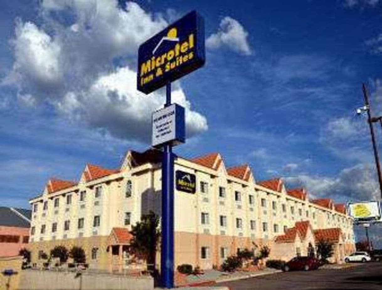 Place Microtel Inn & Suites by Wyndham