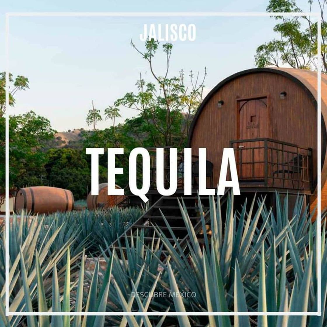 Lugar Tequila