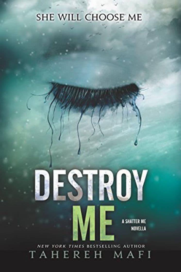 Book Destroy Me