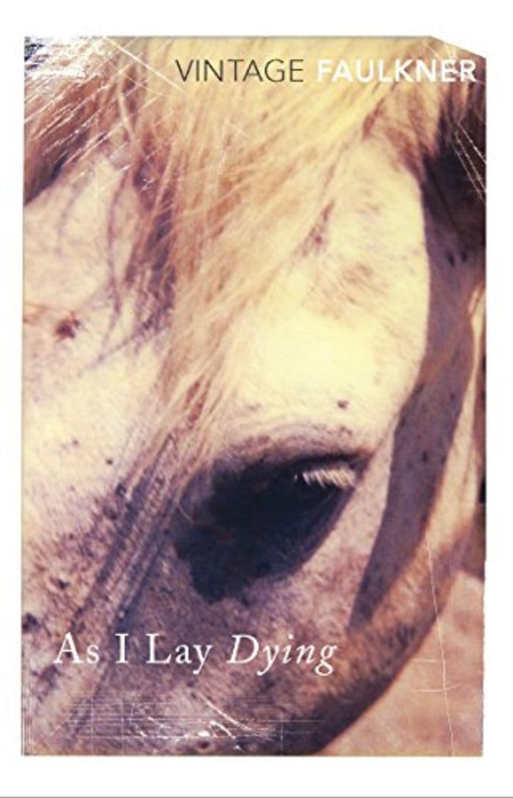 Libro As I Lay Dying