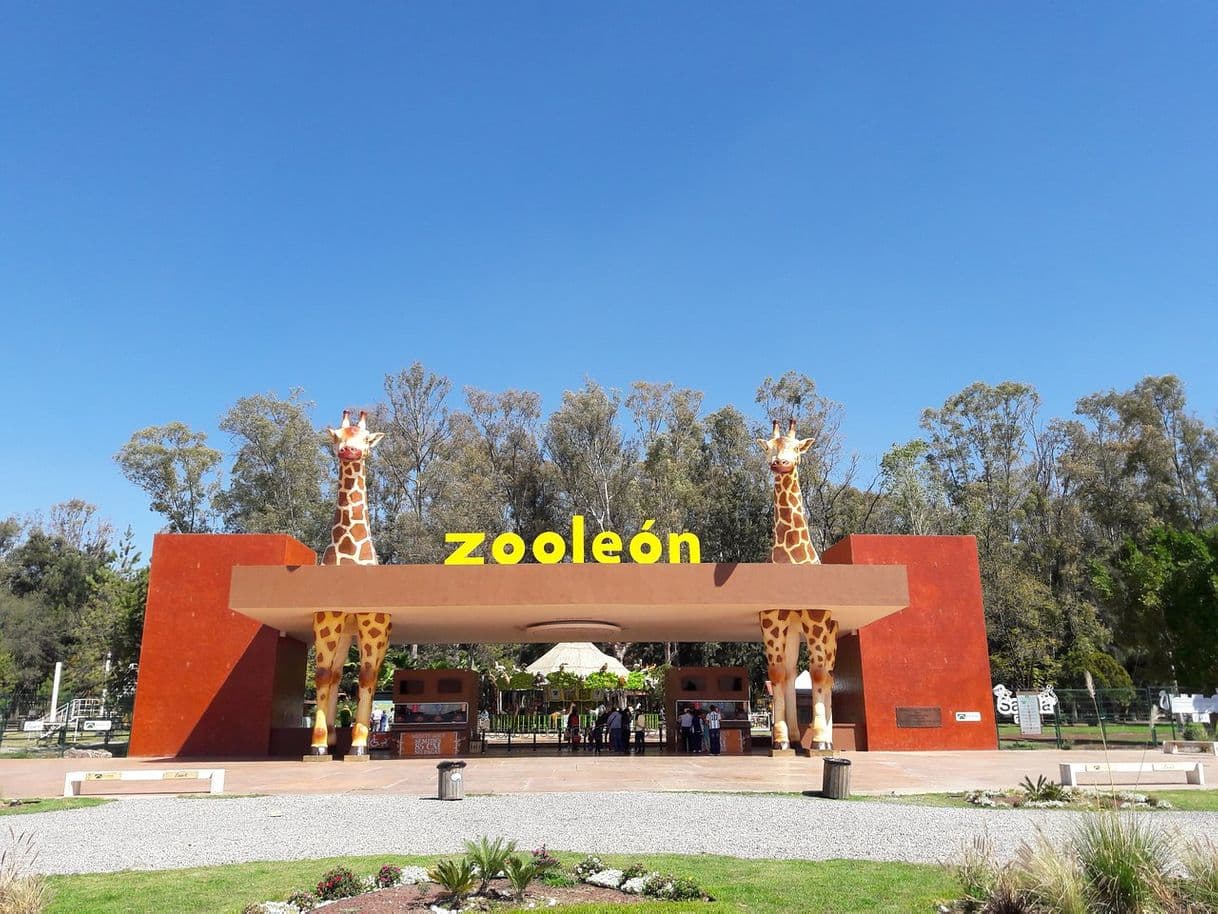 Place Zoológico de León