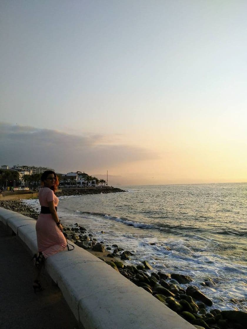 Place Malecón Puerto Vallarta