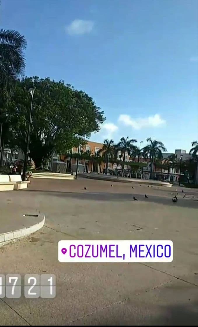 Place Cozumel