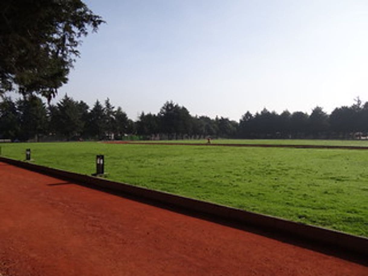 Lugar Parque Metropolitano Bicentenario