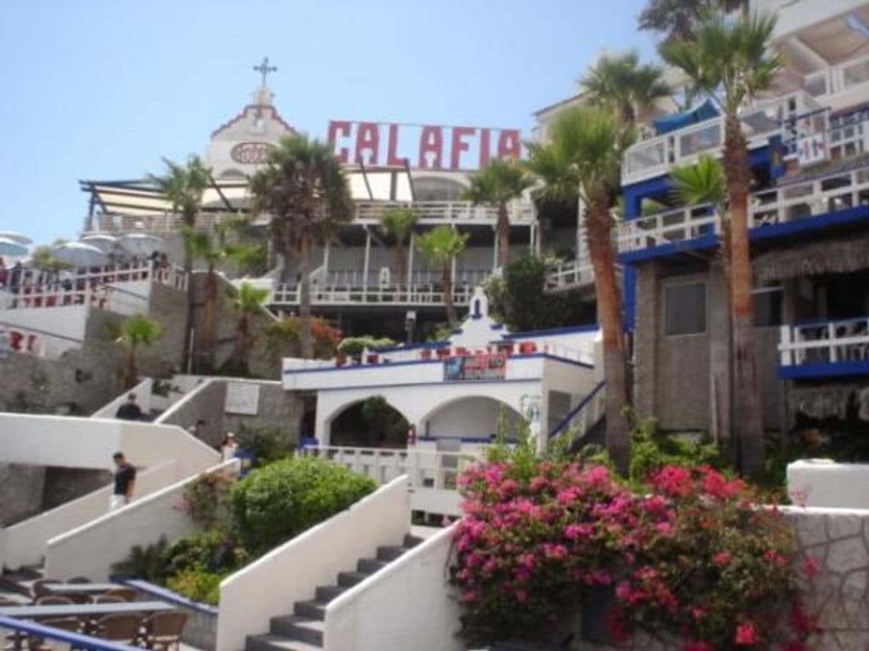 Lugar HOTEL CALAFIA ROSARITO