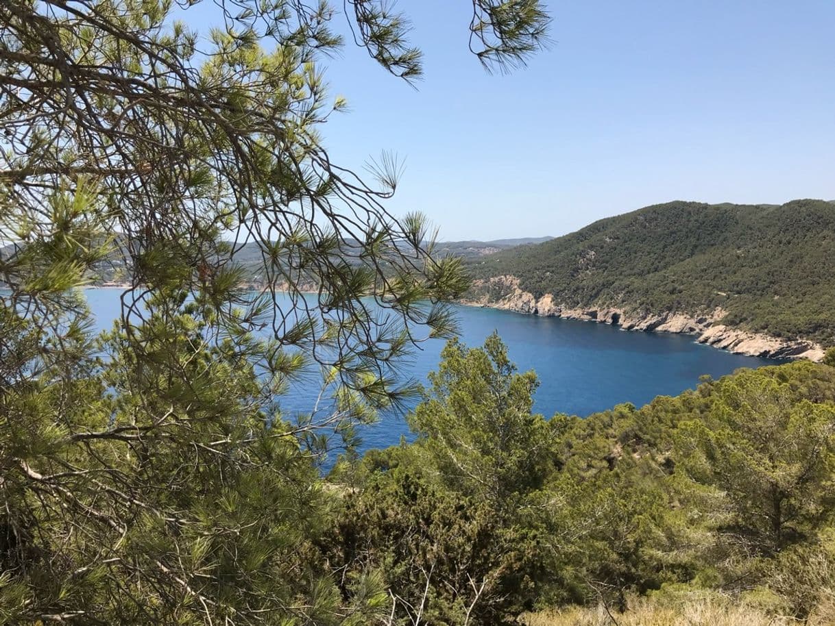 Place Cala de Sant Vicent