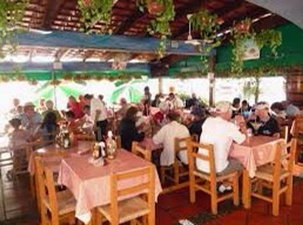 Restaurantes El Coleguita Mariscos Marina Vallarta