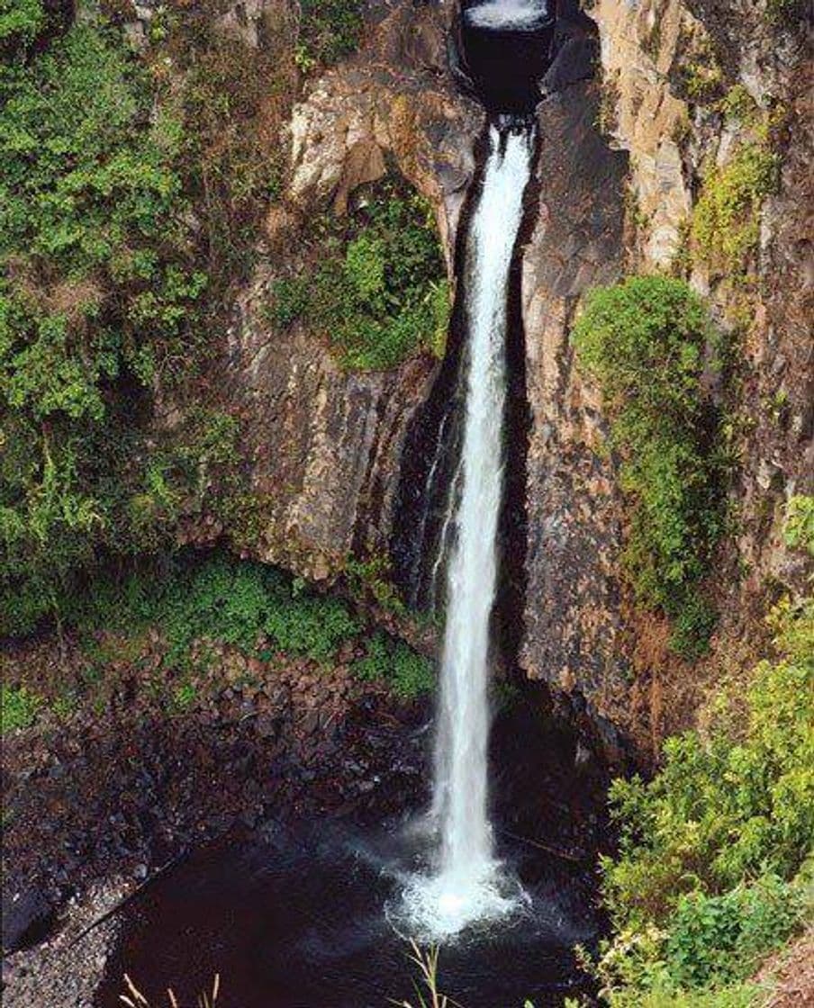 Lugar Cascada de Texolo