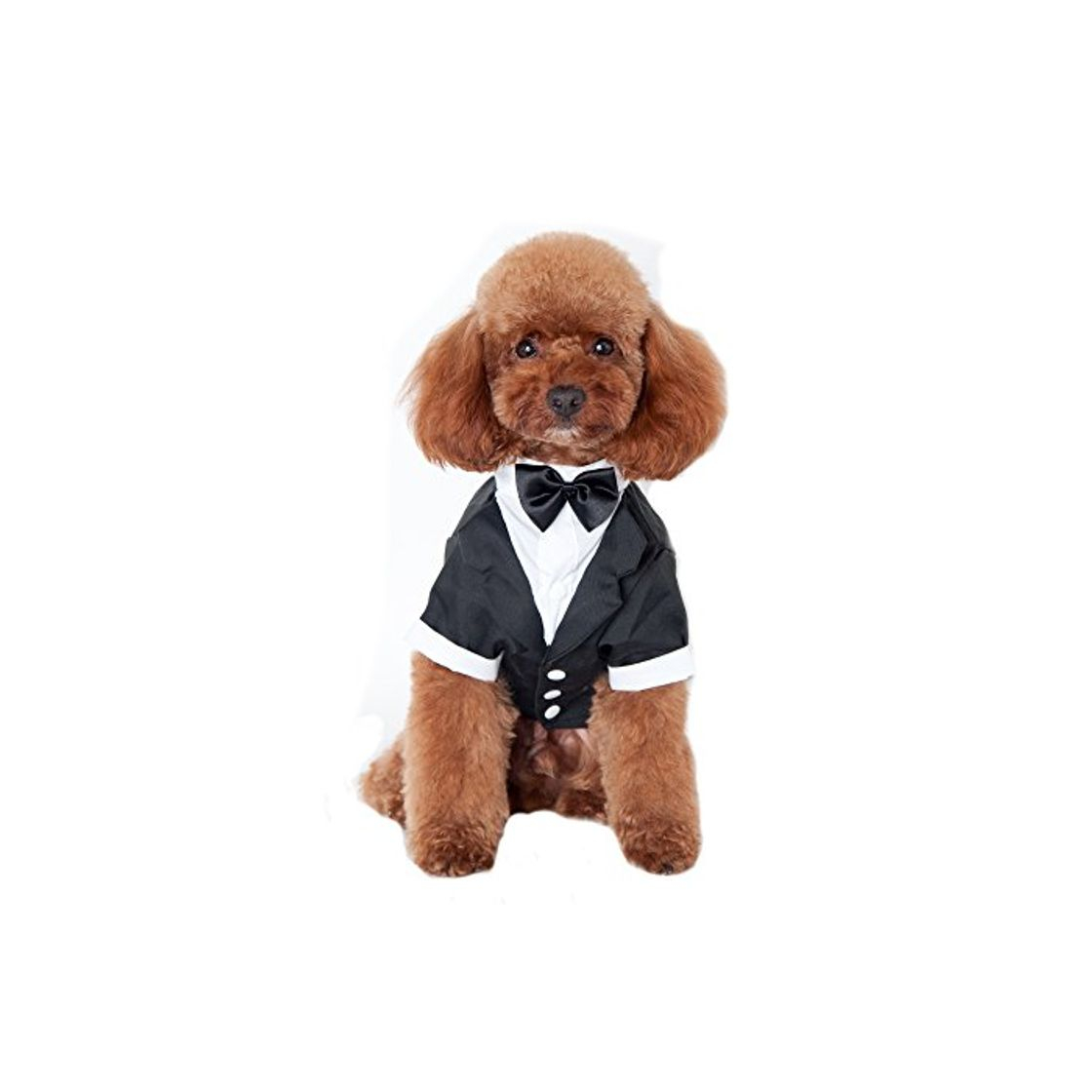 Product Keysui Mascotas fiesta traje Formal traje ropa abrigo para perros ropa