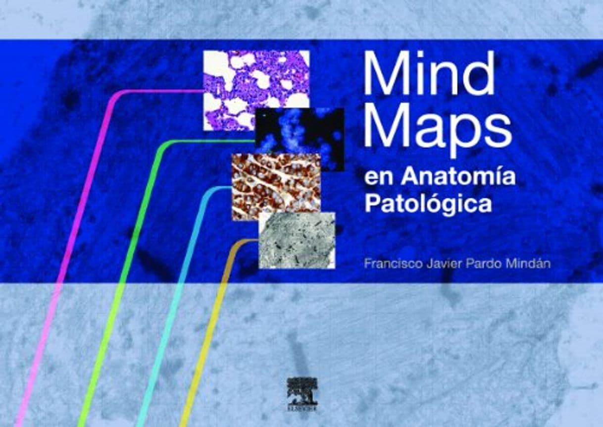 Libro Mind Maps en Anatomía Patológica