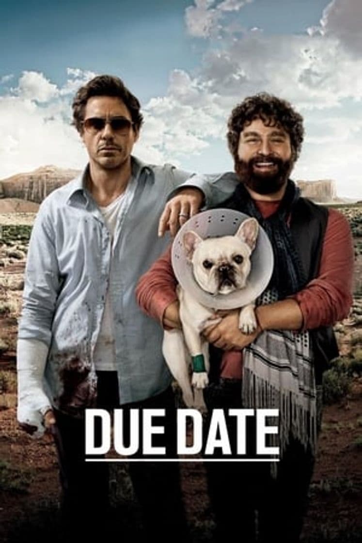 Película Due Date