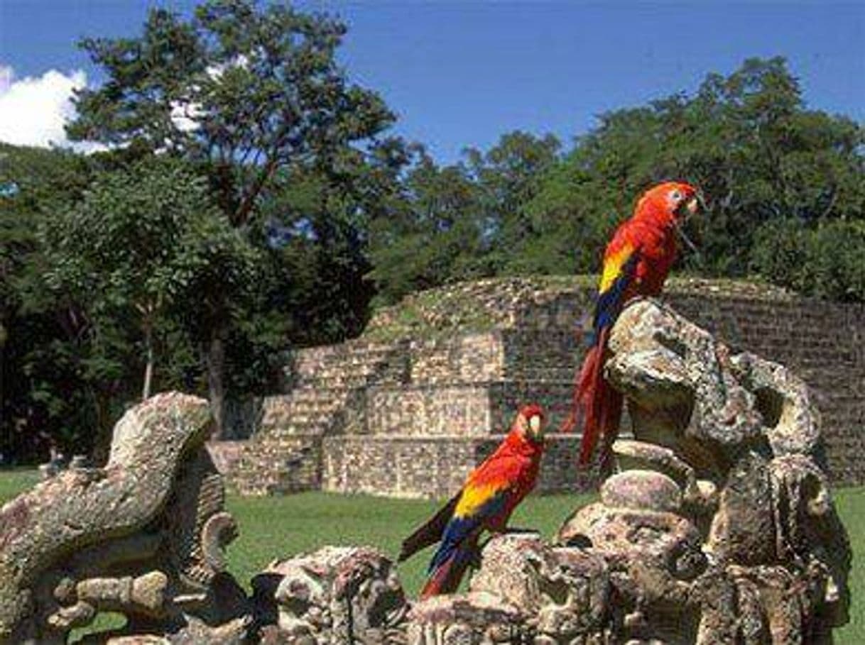 Lugar Copán Ruinas