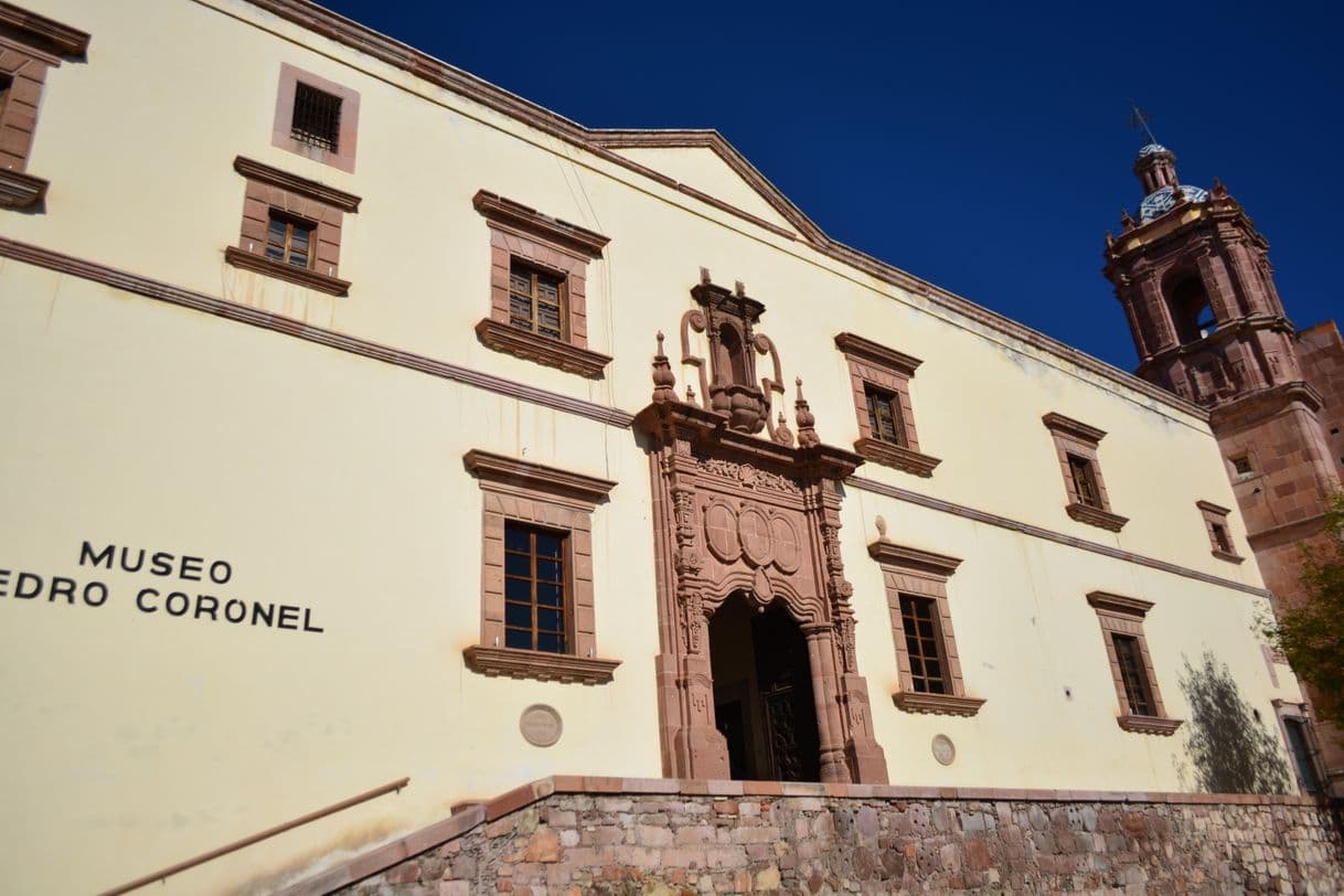 Lugar Museo Pedro Coronel