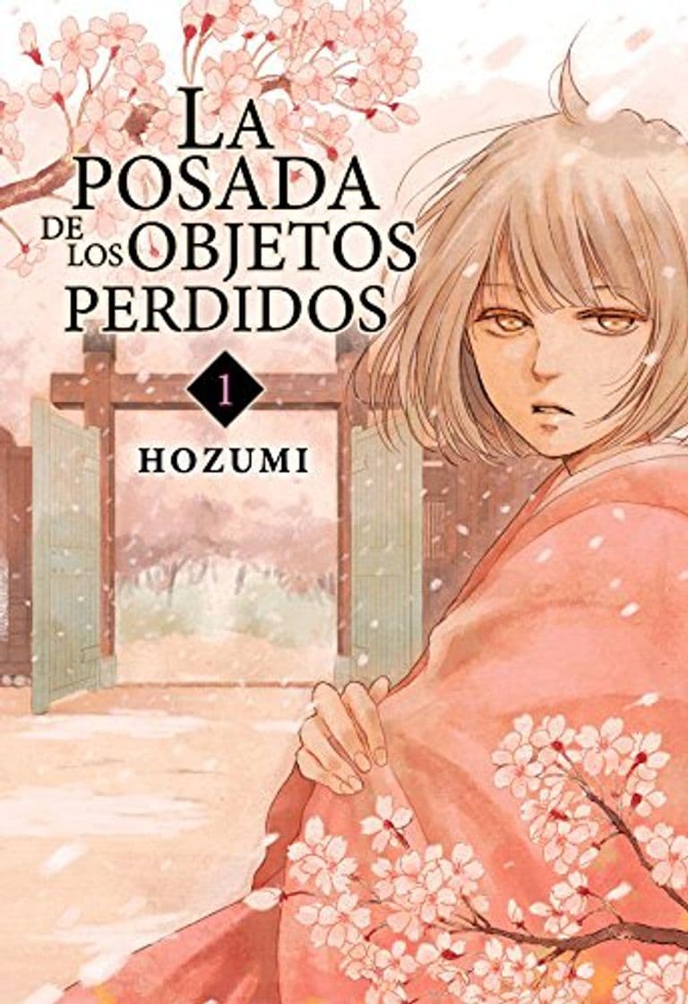 Book La posada de los objetos perdidos