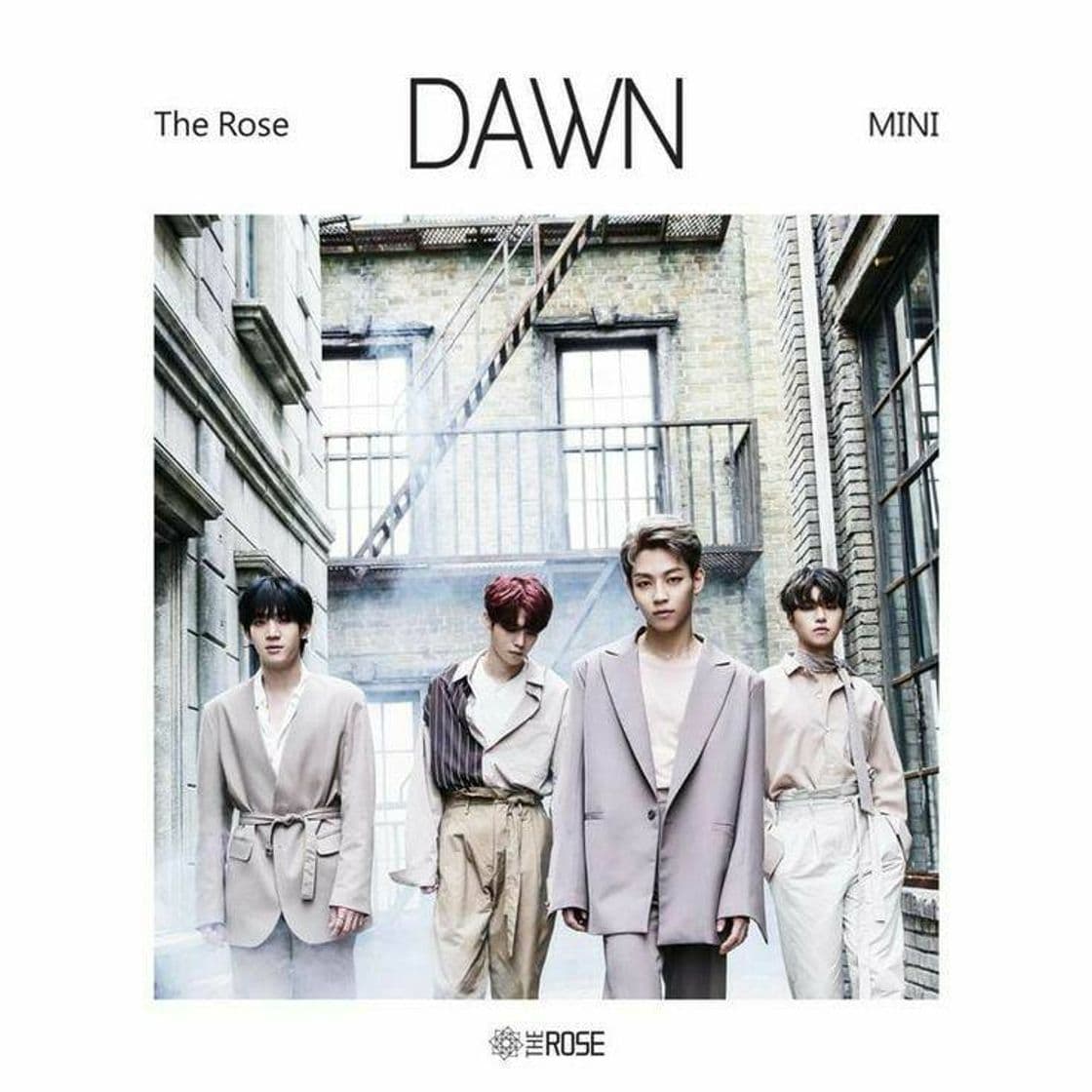 Moda Álbum DAWN - The Rose 