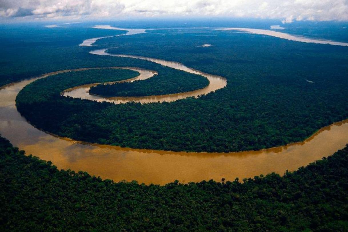 Place Amazonas