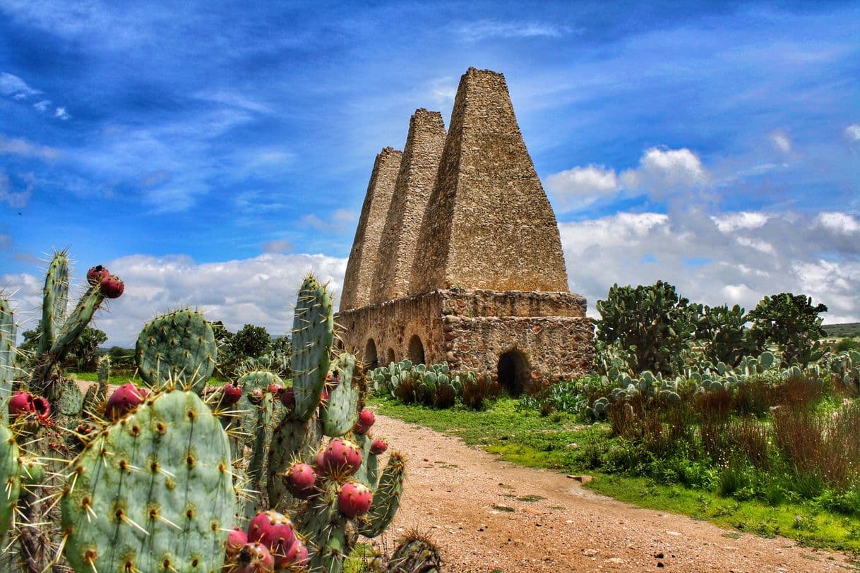 Lugar Mineral de Pozos