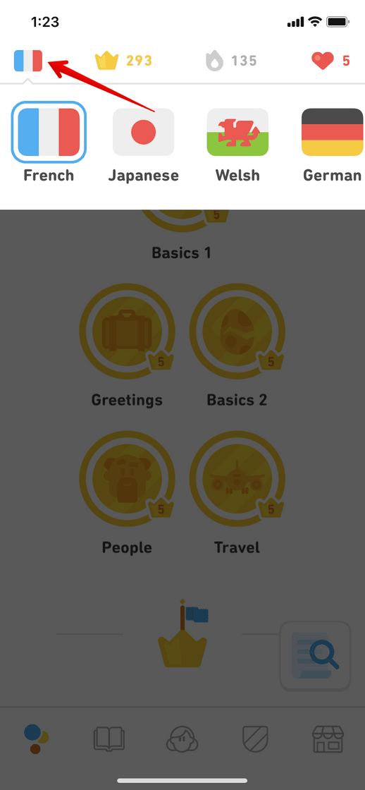 App Duolingo - Language Lessons