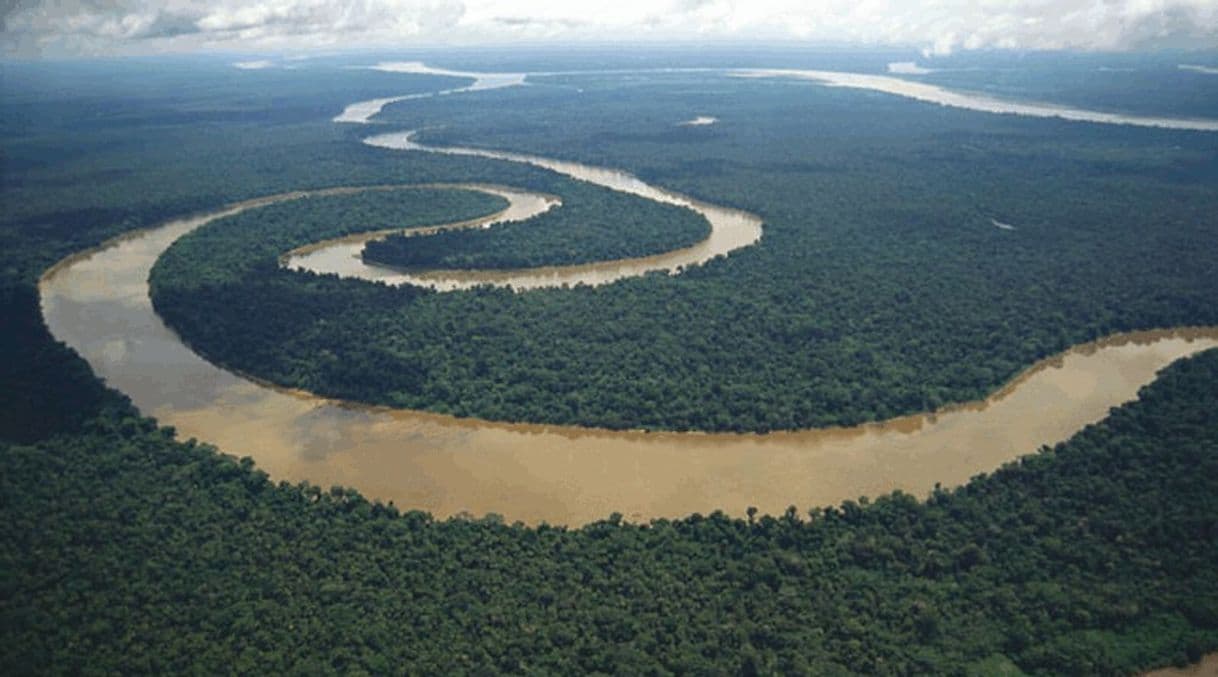 Lugar Rio Amazonas