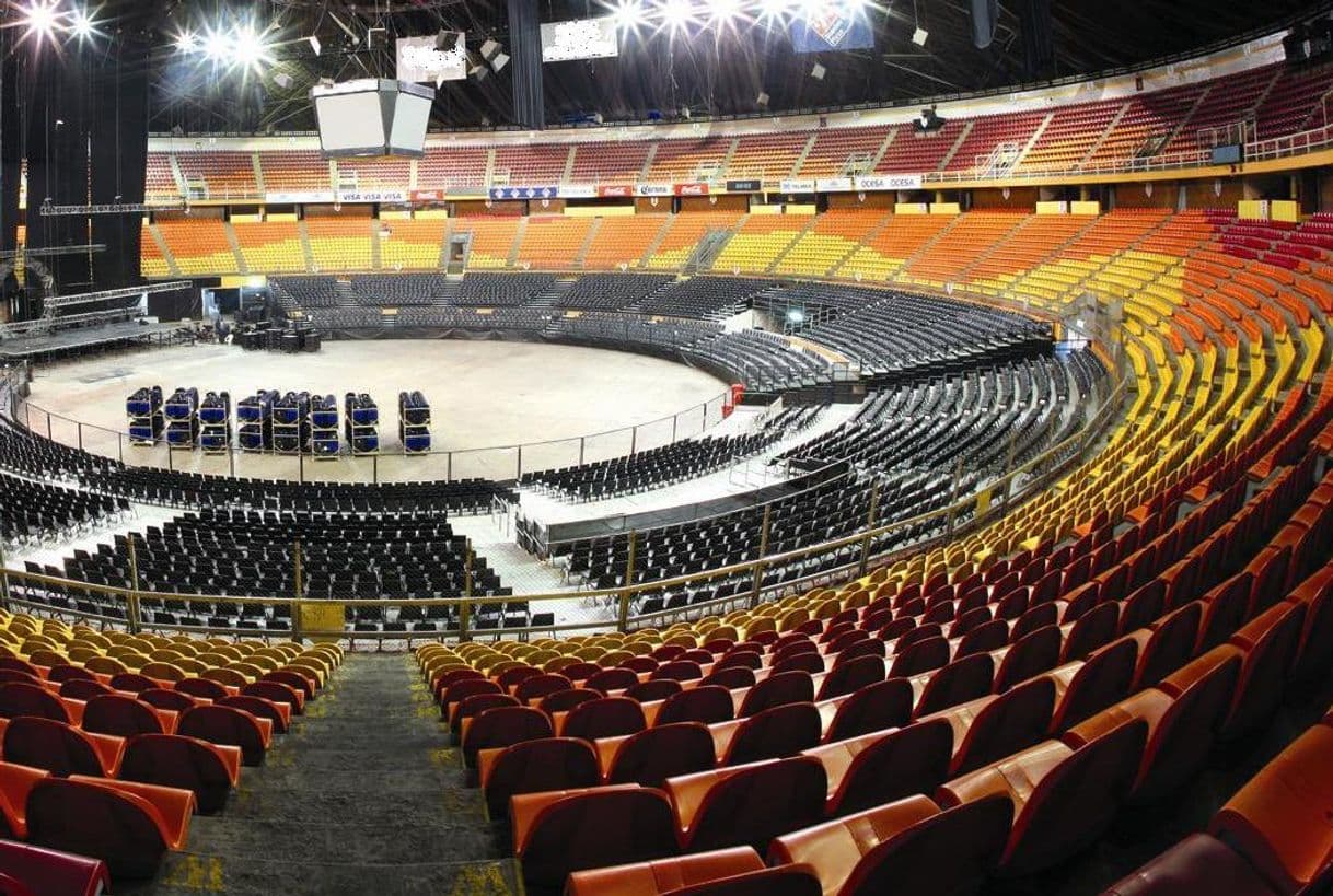 Place Palacio de los Deportes