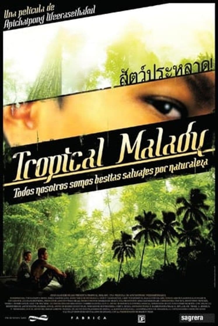 Movie Tropical Malady