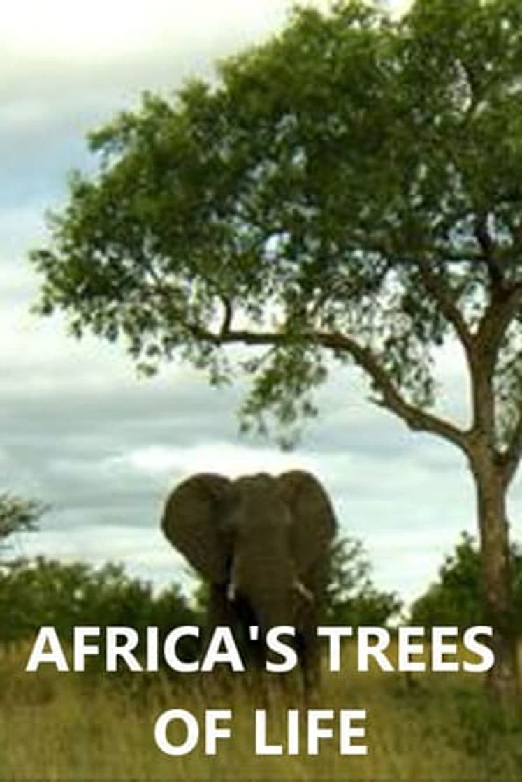 Serie Africa's Trees of Life