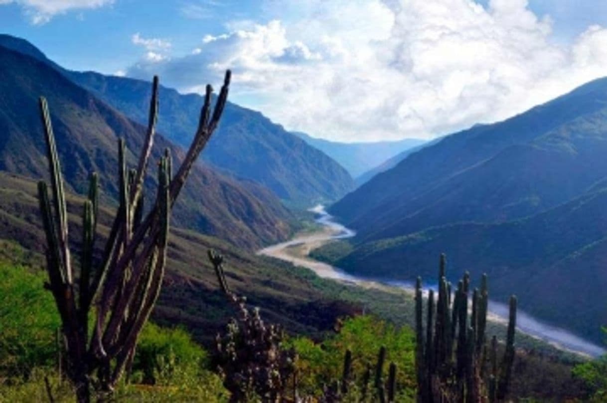 Place Cañon Del Chicamocha