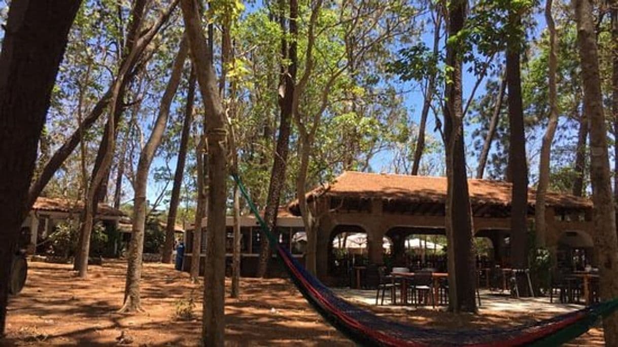 Restaurants Campestre San Martín de los Pinos