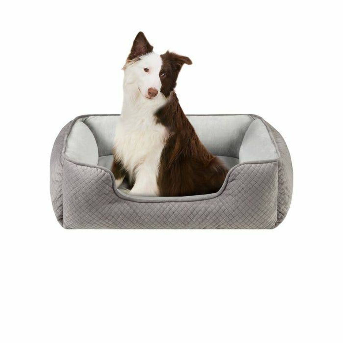 Producto Cama Para Perro