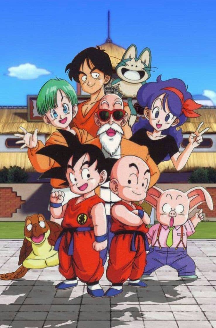 Moda Dragon Ball (clássico)