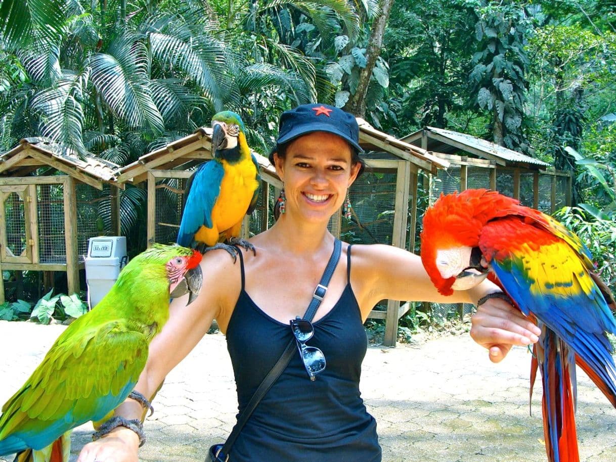 Place Macaw Mountain Bird Park