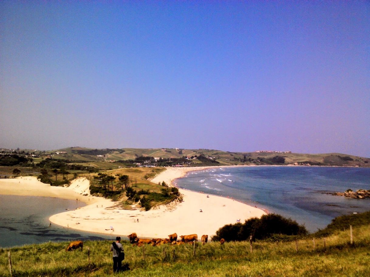 Place Playa de Oyambre