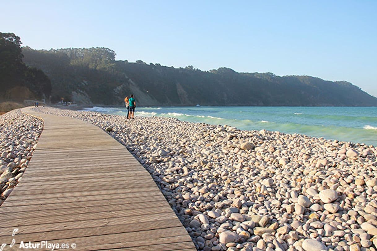 Place Playa Concha de Artedo