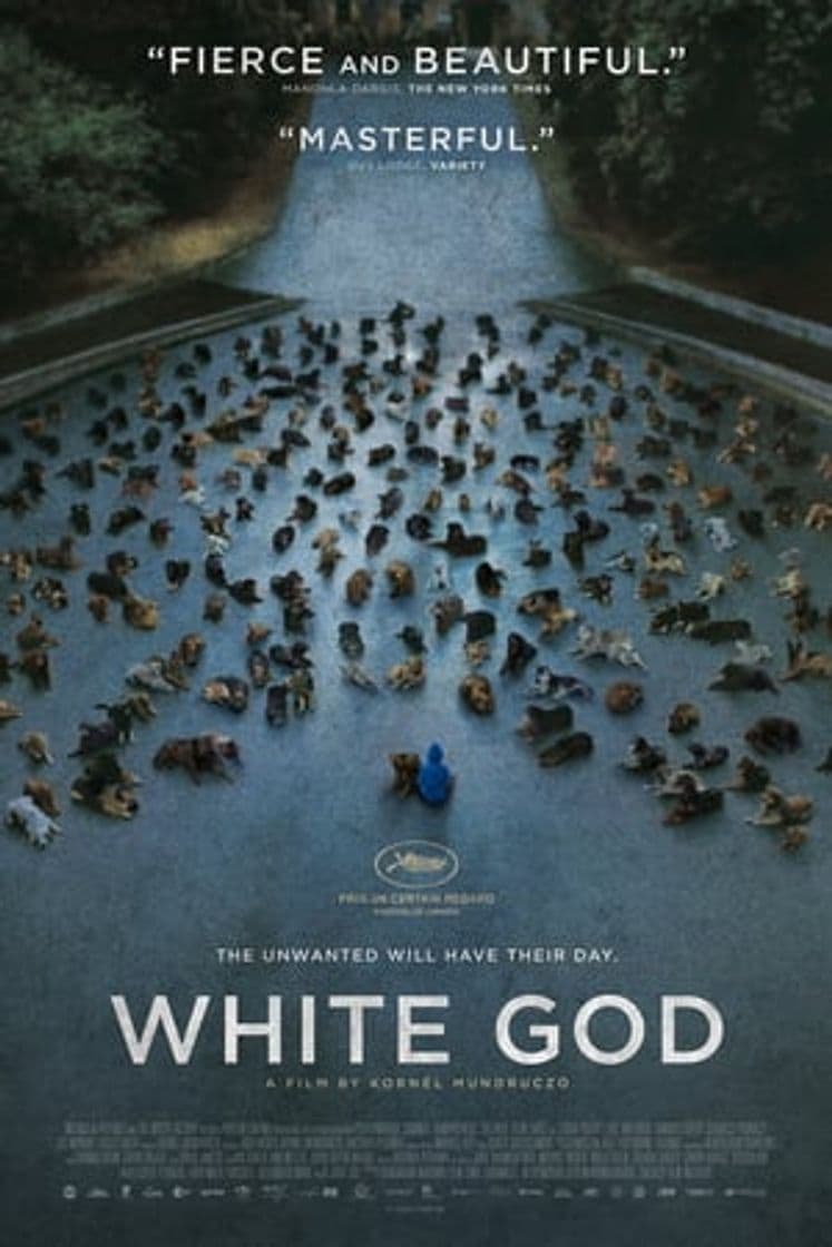 Película White God