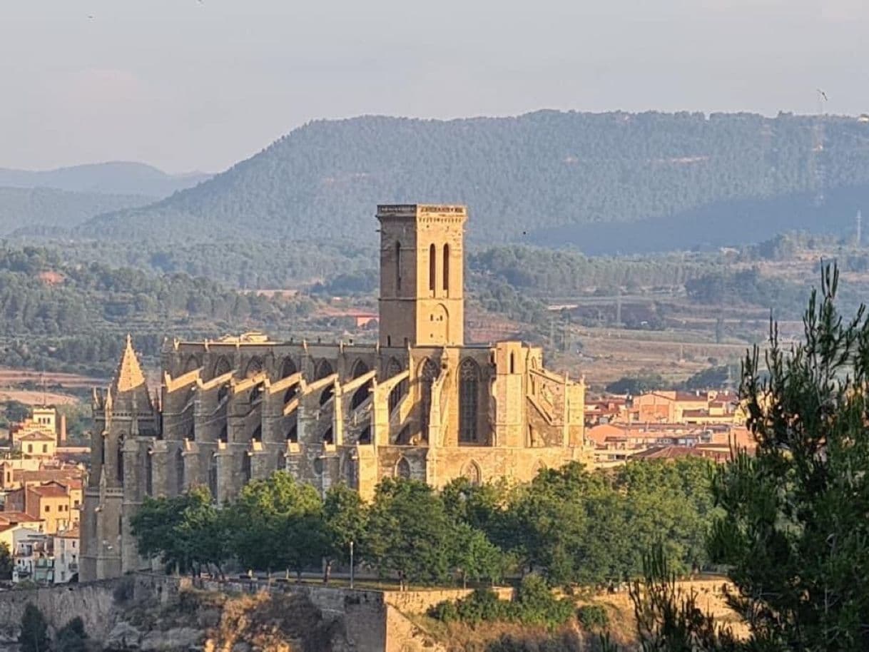 Lugar Basílica Santa Maria de la Seu de Manresa