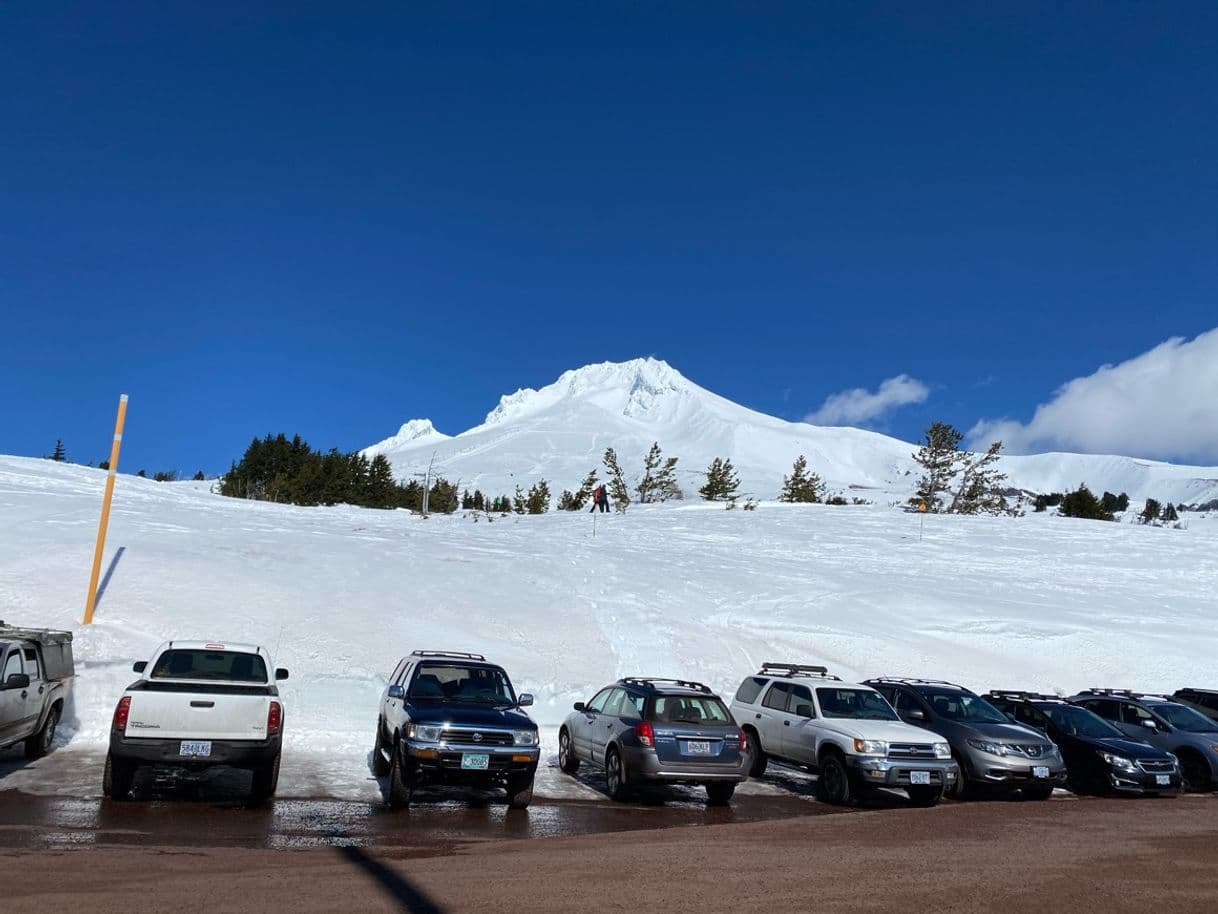 Lugar Timberline Lodge and Ski Area