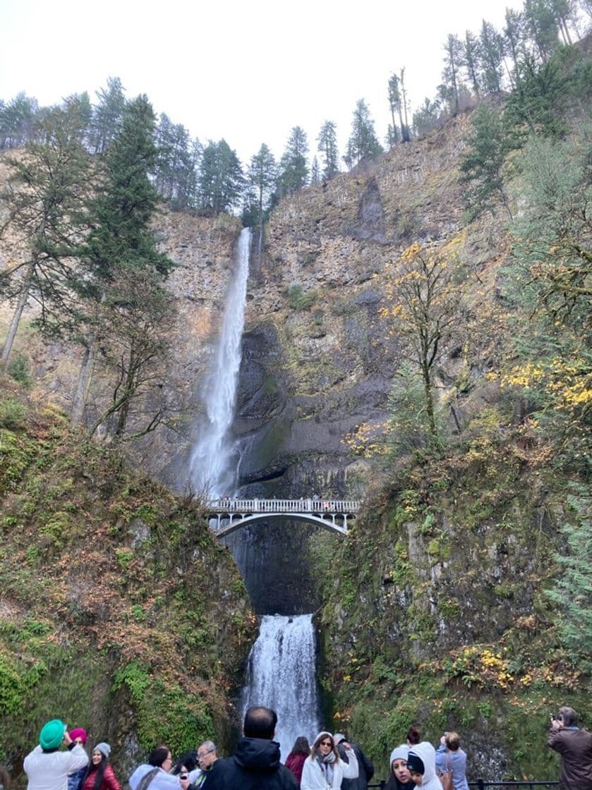 Lugar Multnomah Falls