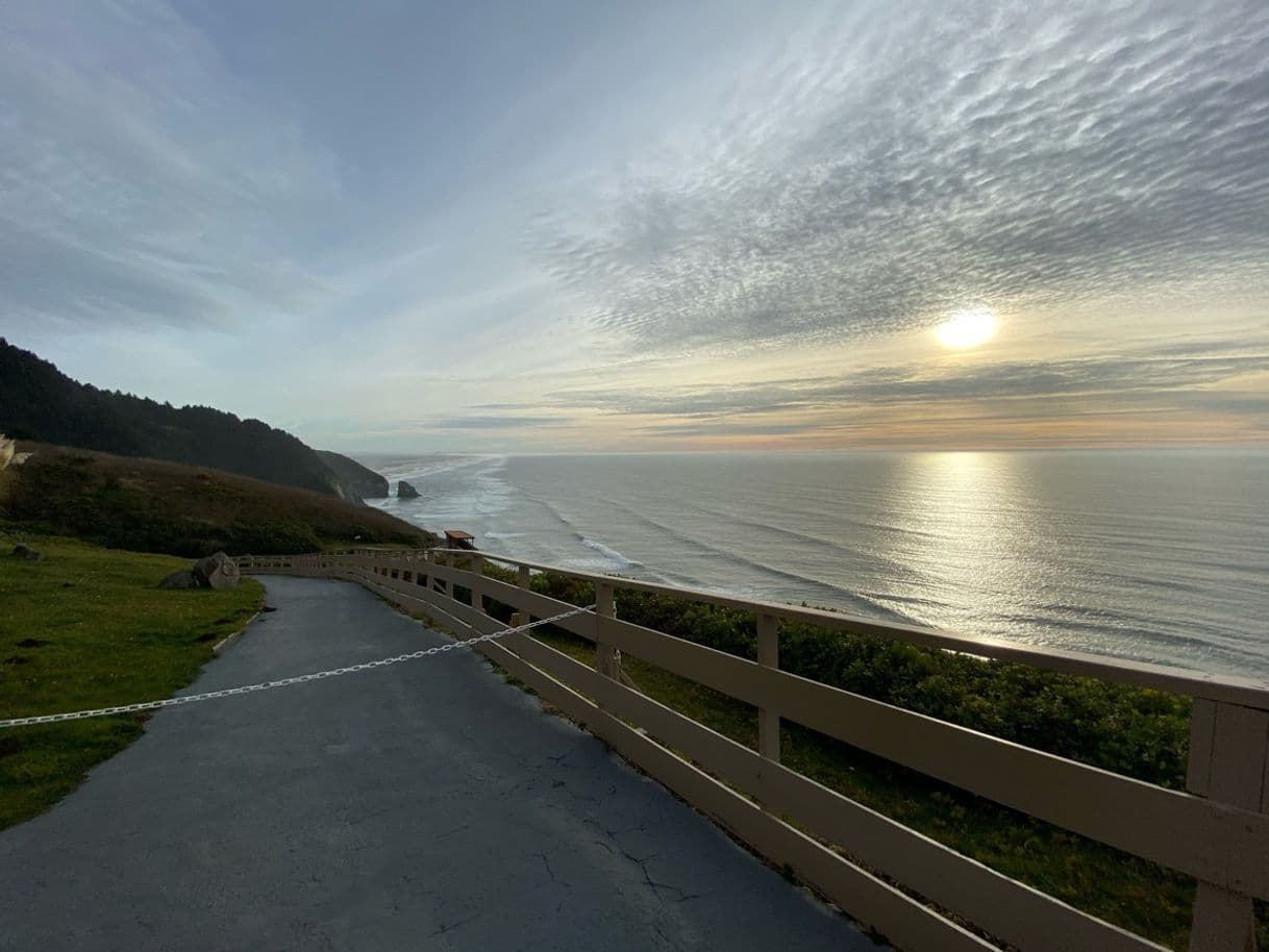 Lugar Sea Lion Caves